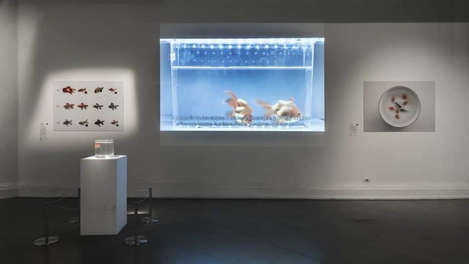 12 Bienal de Artes Mediales secondary image