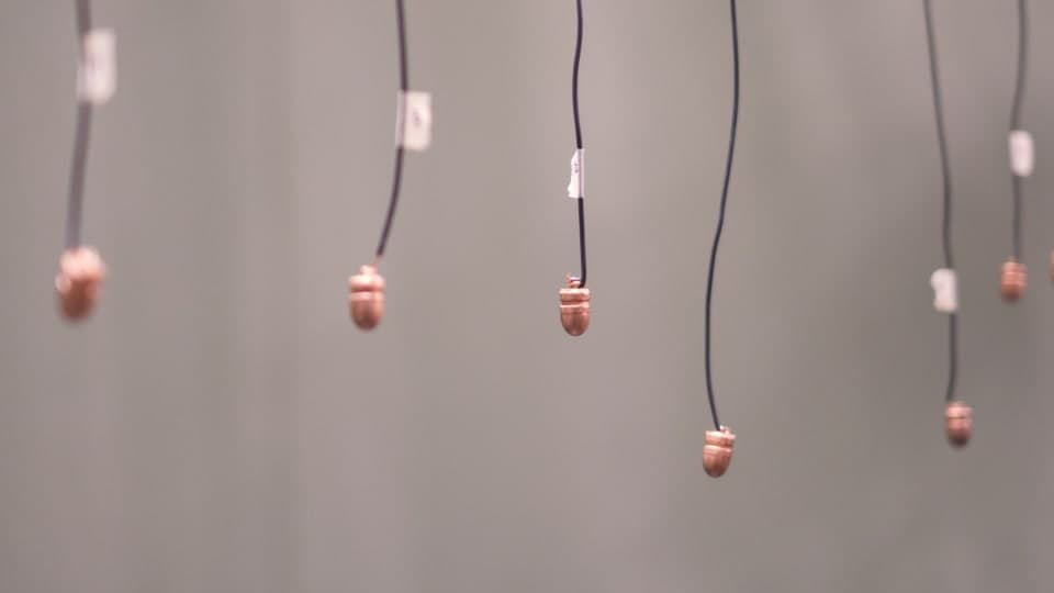 85 Balas secondary image